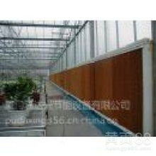 漳州廈門地區通風設備與水簾系統 工業與農業環境的清涼之選
